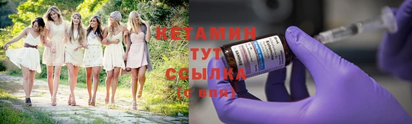 гидра Бородино
