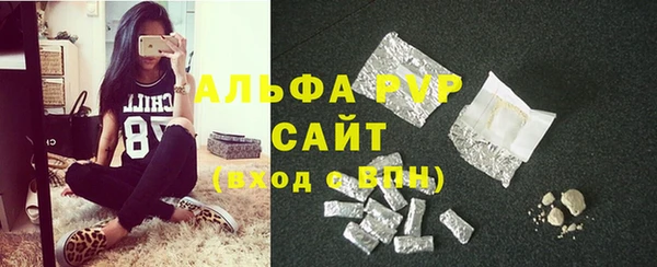 гидра Бородино