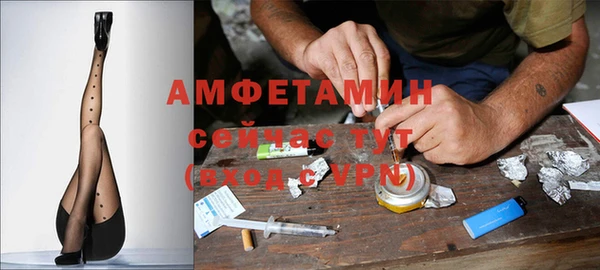 гидра Бородино