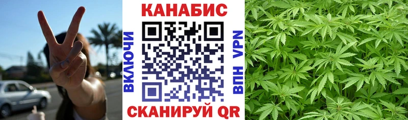 Шишки марихуана гибрид Цоци-Юрт